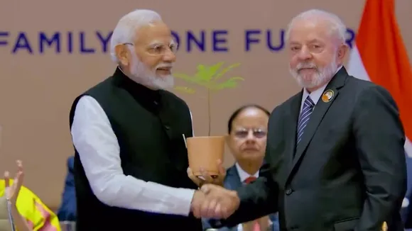 G20 presidencies of last year, 2024 hand over sapling to PM Modi
