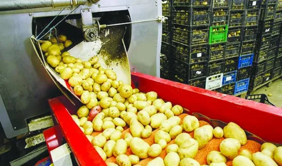 AP govt, SBI ink deal to upgrade, establish 7,500 micro food processing units