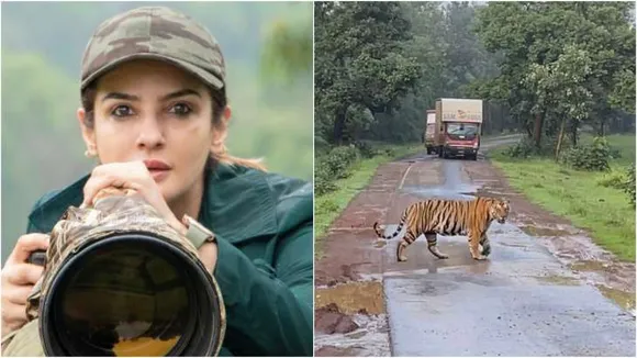 Satpura Reserve: Raveena Tandon says jeep was on track as probe starts