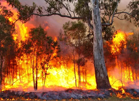 ‘Painting with fire’: How northern Australia developed one of the world’s best bushfire management programs