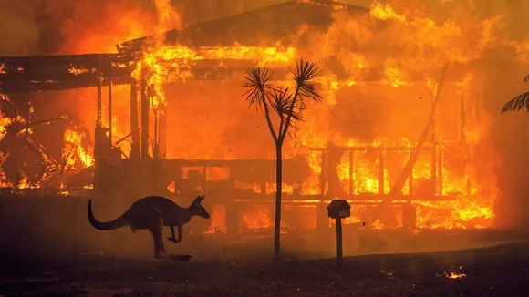 Australian wildfires: Is the term 'bushfire' out of date?