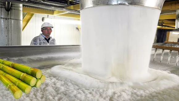 Sugar production drops 6% till Apr 15 of 2022-23 marketing year