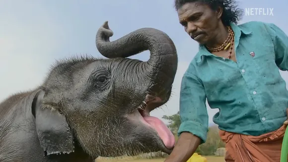 'The Elephant Whisperers' nominated in Documentary Short Subject category at Oscars 2023