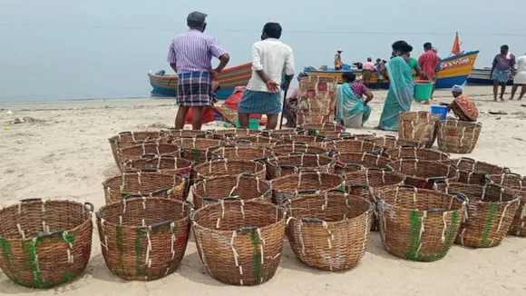 Climate change taking toll on marine fisheries in Bay of Bengal region, says status report