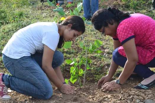 100 lakh saplings to be planted on Gandhi Jayanti: Himanta Biswa Sarma