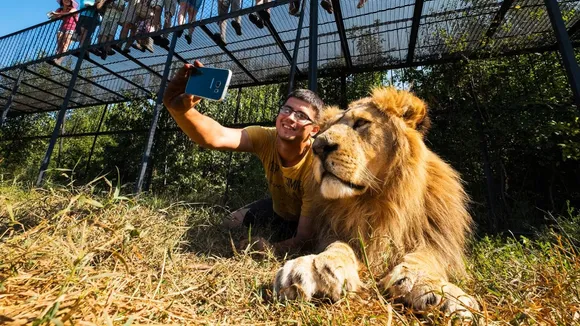 Wildlife selfies harm animals − even when scientists share images with warnings in the captions