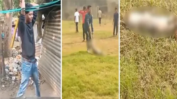 4 students arrested for beating pregnant dog to death in Delhi