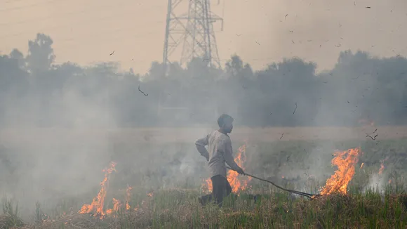 Delhi air quality to worsen as stubble burning cases double in Punjab to 3,200 on Nov 5