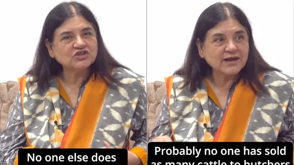 Maneka Gandhi claims ISKCON sells cows to butchers; temple authority hits back