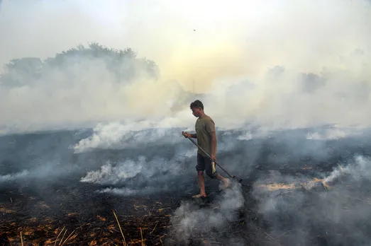 NHRC raises serious concern over 'tardy progress' towards achieving zero stubble-burning