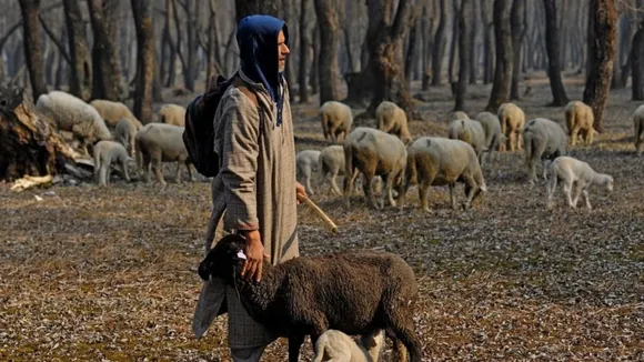 Jammu and Kashmir witnessed driest, warmest January in 43 years