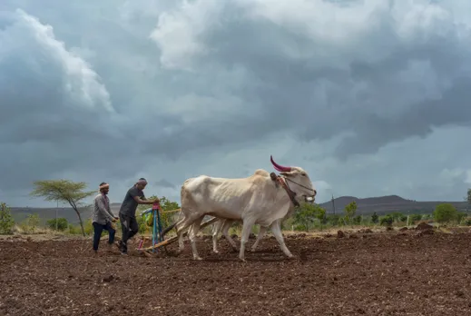 Share of agriculture in India's GDP declined to 15% in FY23: Govt