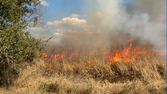 Nearly half of South Africa’s world-renowned Kruger National Park to be burnt to protect ecosystem