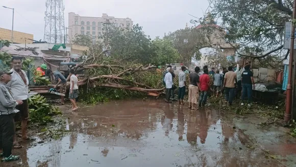  Workers remove trees uprooted following the landfall of Cyclone Biparjoy, in Dwarka, Friday, June 16, 2023. Cyclone Biparjoy, a very severe cyclonic storm, made landfall near Jakhau Port in Gujarat on Thursday evening with a wind speed of 115-125 kmph gusting to 140 kmph as heavy rains lashed the coastal region.