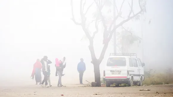 Dense fog in several areas in Rajasthan; Alwar records 2.5 deg C