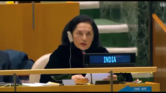 'Holds and blocks' in UNSC Sanctions Committees are 'disguised vetoes': India jibes China