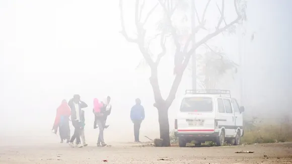 Dense fog in parts of Rajasthan; Kota, Jaipur see light rainfall