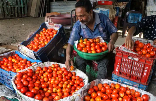 A vendor sorts tomatoes at a market, in Nagpur
