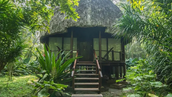 Unique Nicobari hut could soon get GI tag: Official
