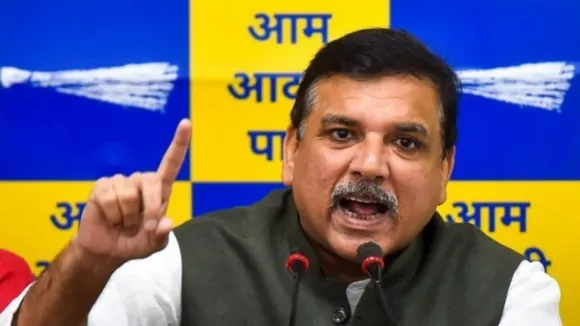Next Lok Sabha polls fight to save Constitution, democracy: AAP MP Sanjay Singh
