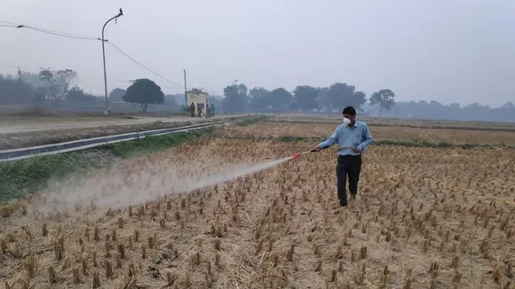 Delhi govt launches drive to spray bio-decomposer in paddy fields to prevent stubble burning
