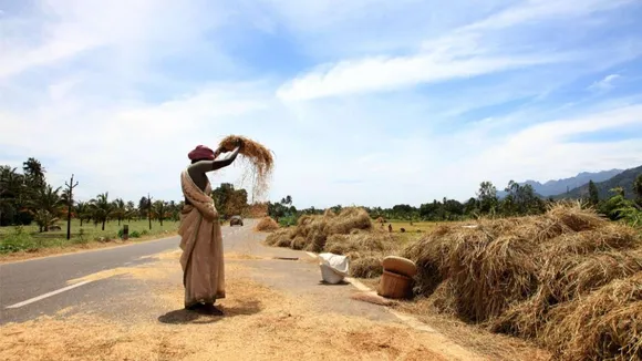 Indian crops' adaptation to climate change assessed using 60 years' data