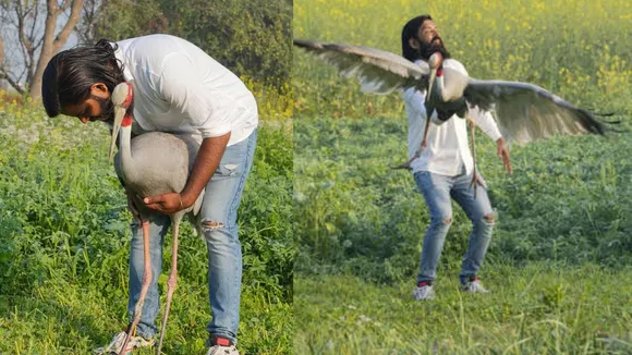 UP man who rescued, cared for Sarus crane gets Forest department notice