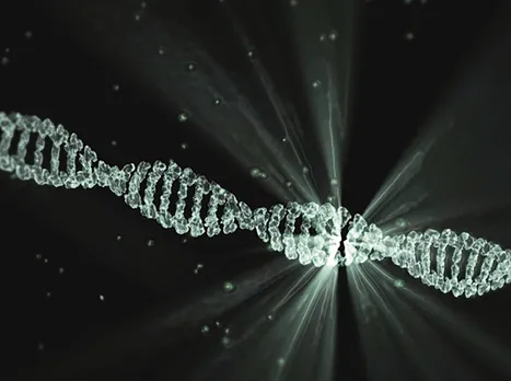 Unravelling DNA’s structure: a landmark achievement whose authors were not fairly credited