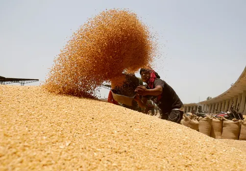 Wheat stock limit order: Centre asks states to ensure stock disclosure to check unfair practices