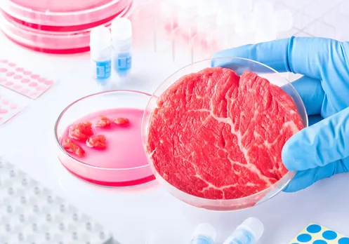 Eight key questions about lab-grown meat