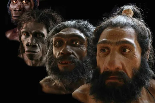Racist and sexist depictions of human evolution still permeate science
