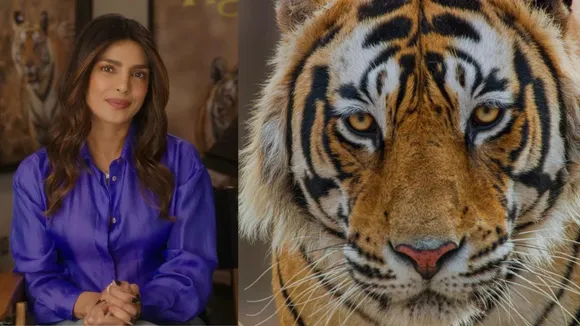 Priyanka Chopra Jonas to narrate Disneynature's documentary film 'Tiger'