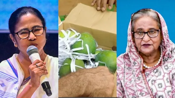 Bangladesh PM sends 600 kg of mangoes as gift to Mamata Banerjee