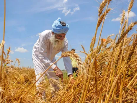 Wheat arrivals in Punjab cross 100 lakh metric tonne