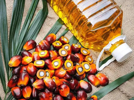 India's palm oil imports fall 15% to 4.39 lakh tonne in May