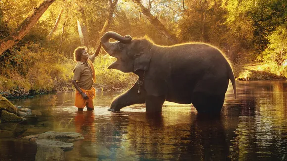 Indian short documentary 'The Elephant Whisperers' in Oscars shortlist