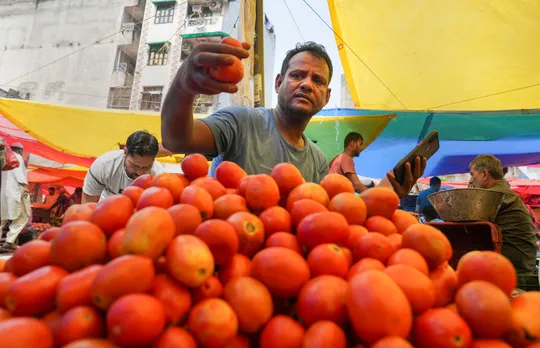 Spike in tomato prices temporary phenomenon; prices will cool down soon: Govt official