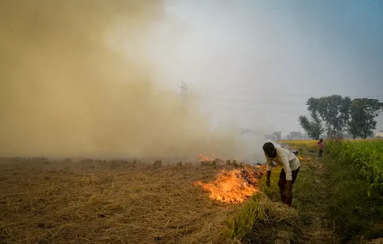 Haryana govt cracks down on stubble burning offenders, imposes fines of over Rs 25 lakh