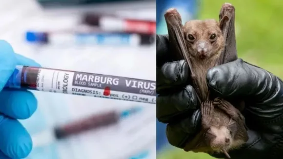 Marburg virus: Another massive outbreak about to start?