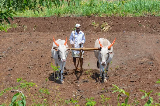 Union Budget: Govt may increase agri-credit target to Rs 22-25 lakh crore