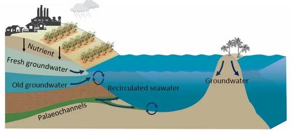 A diagram listing nutrient sources to the reef
