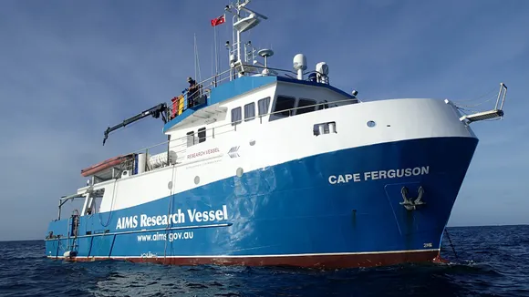 A blue and white ship sailing on a calm ocean