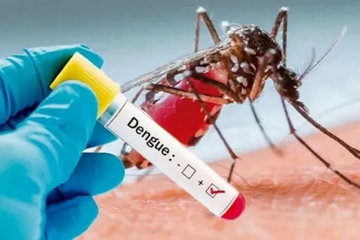 101 fresh cases of dengue in Delhi, tally rises to 396