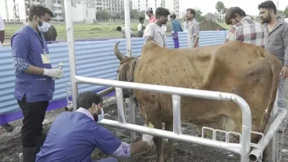 ICAR develops vaccine for Lumpy Skin Disease in cattle
