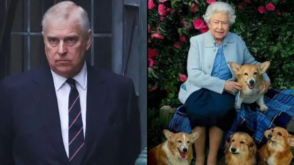 Queen's younger son Prince Andrew to care for her beloved corgi dogs