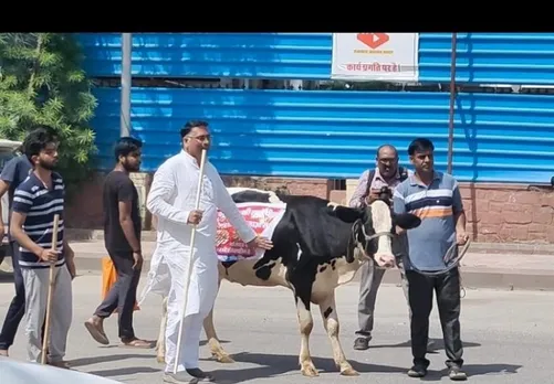 Pushhkar MLA Suresh Singh Rawat brings Cow in Rajasthan assembly to draw attention towards lumpy disease