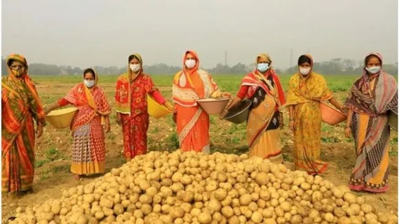 All women-led potato chips company in Uttar Pradesh's potato-rich Firozabad district