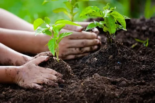 Delhi govt to launch second phase of plantation drive from Oct 15