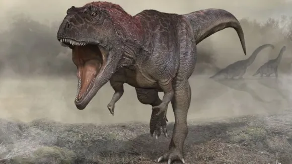 Big head, small arms: A newly discovered gigantic dinosaur evolved in a similar manner to Tyrannosaurus rex