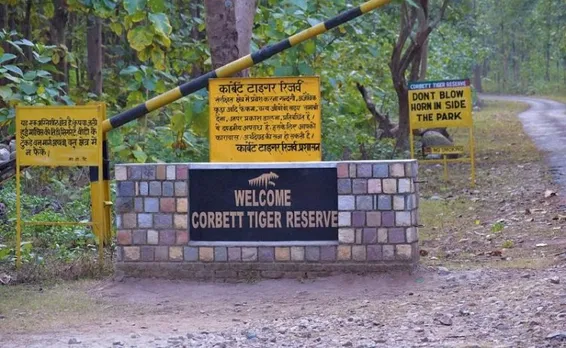 Over 6000 trees felled illegally for tiger safari in Kalagarh forest division of Corbett National Park: FSI report